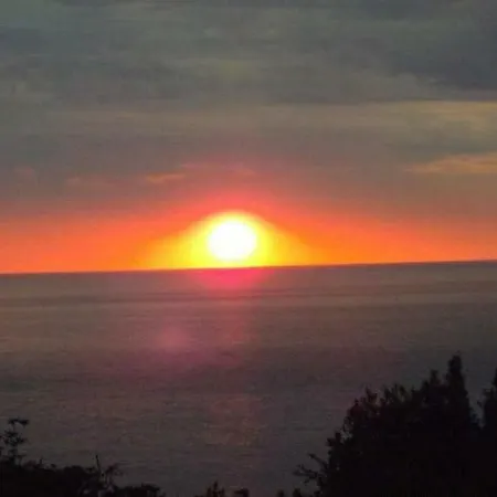 Casa Geranio Casa vacanze Ischia