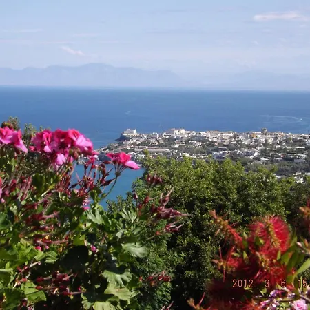 Casa Geranio Casa vacanze Ischia